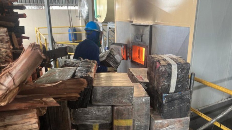 PF incinera mais de 3 toneladas de 'maconha' no Paraná
