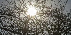 Inmet alerta para baixa umidade em 12 estados e no DF