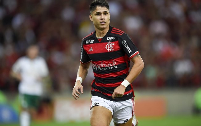 Luiz Araújo em campo pelo Flamengo