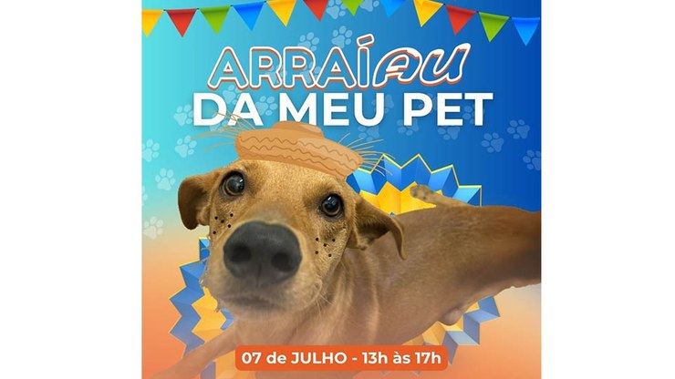 Clínica Meu Pet promove “Arraiau” com diversão para tutores e pets