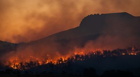 Incêndio atinge grande área de vegetação em Cascavel (PR)
