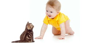 Conviver com pets traz benefícios para saúde física e mental dos bebês