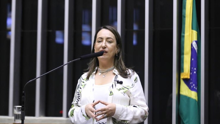 Deputada%20pede%20responsabiliza%C3%A7%C3%A3o%20criminal%20de%20Lupi