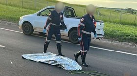 Duram pouco? Baterias de carros elétricos desgastam 2,3% ao ano