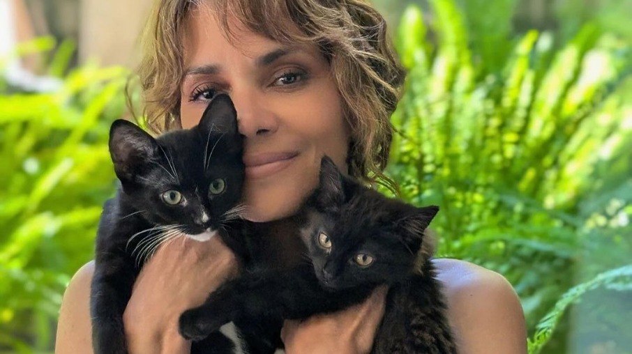 Halle Berry apresenta Boots e Coco, seus novos gatos de estimação