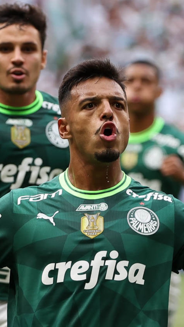 Palmeiras x Grêmio: horário, como assistir e tudo sobre o jogo da