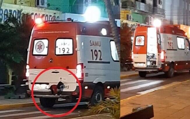 cachorro traseira ambulancia