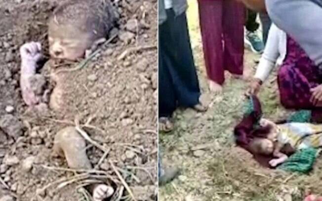 Caso ocorreu em fazenda na cidade de Khatima, na Índia, na última segunda-feira
