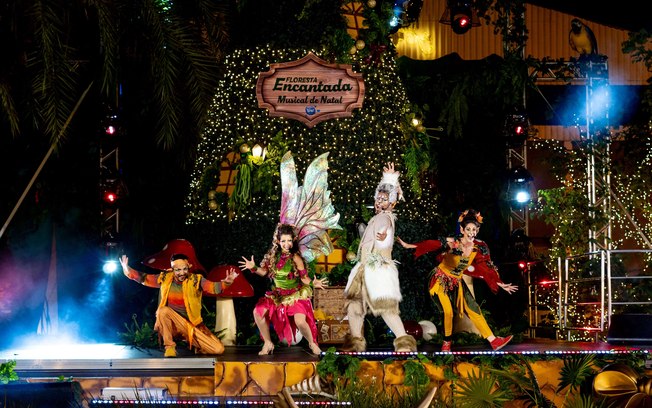 Decoração de Natal em Amparo traz musical natalino inédito