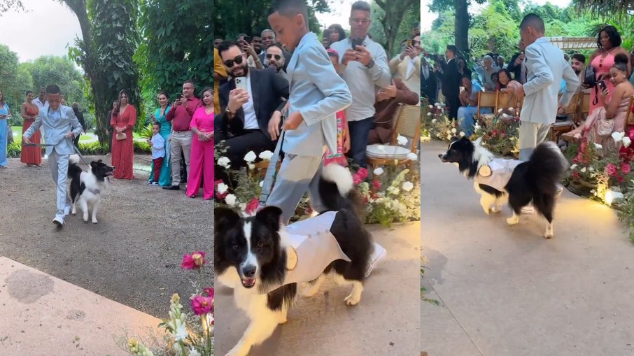 O cachorro de estimação do casal levou as alianças ao altar