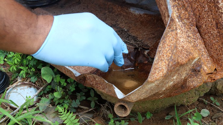 Dengue: Campinas tem 33 bairros com alto risco de transmissão