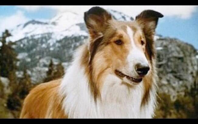 Por décadas, a cadela mais famosa do mundo - mesmo tendo sida interpretada por diferentes cães