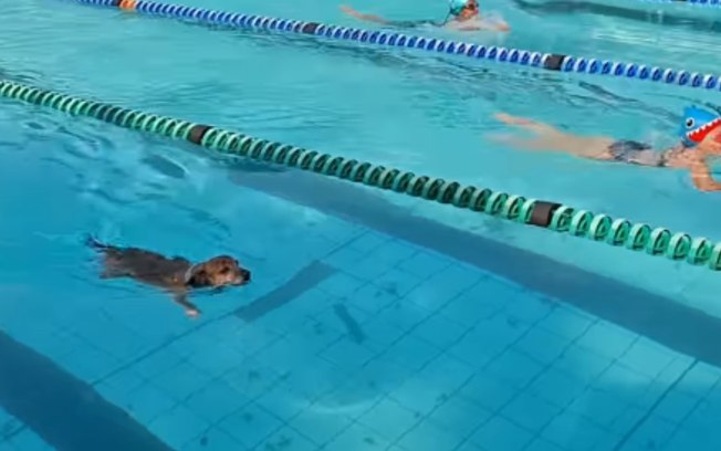 0dr3cufd7o28ueim5npjrm15e