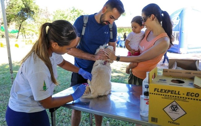 Julho Dourado levanta a importância de vacinar os pets e prevenir zoonoses