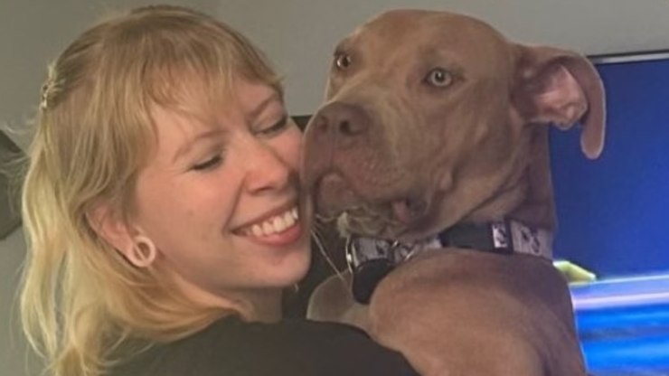 Cadela de rua escolhe família e vídeo viraliza nas redes