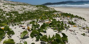 Praias de Cabo Frio (RJ) encerram a bandeira Azul antes da data