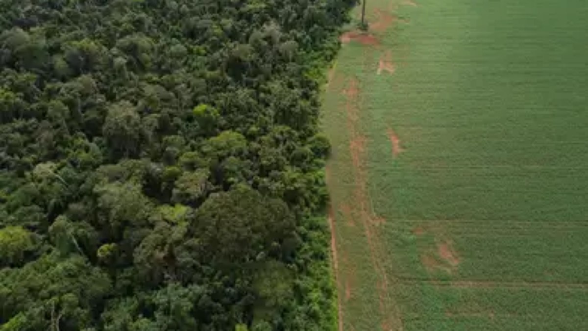 PL que trata da nova legislação ambiental foi aprovada no Senado e segue para a Câmara