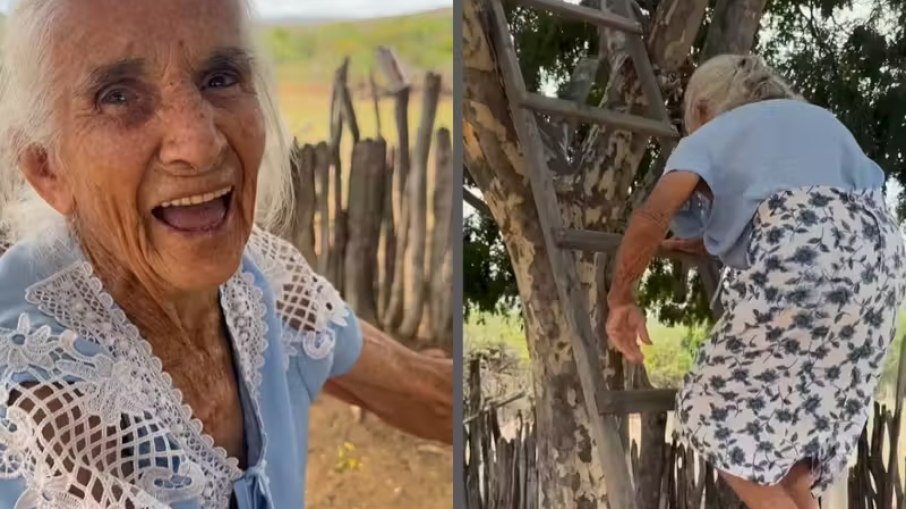 Idosa de 92 anos sobe em árvore e encanta a internet Idosa de 92 anos sobe em árvore e encanta a internet