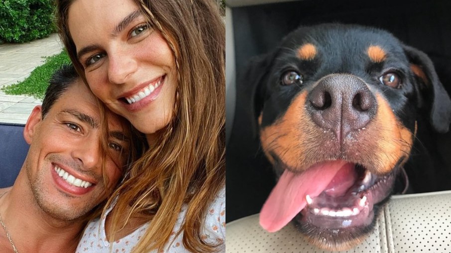 Ex- mulher de Cauã Reymond, Mariana Goldfarb lamenta morte de cachorro