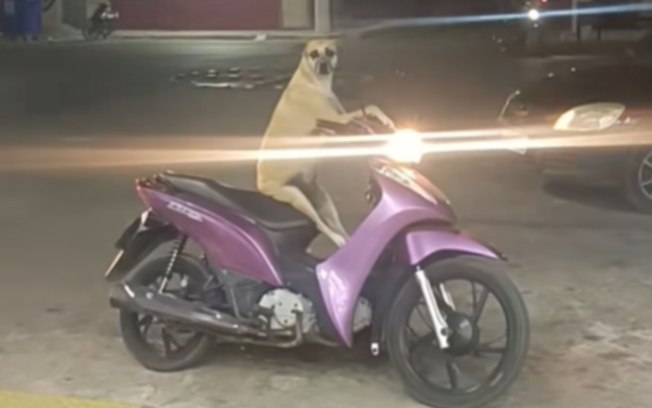 Caramelo espera em cima da moto enquanto tutora vai à farmácia 0frymr3otfk0ckosbdeqc7z5e