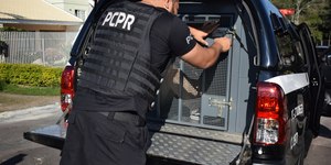 "Golpe do amor": homem é preso por estelionato contra idosa do PR