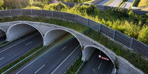 Ponte ecológica em Washington já salvou mais de 10 mil animais