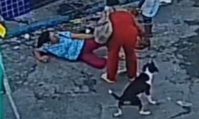 Cachorro atropela mulher enquanto ela gravava v&iacute;deo de 'bom dia'