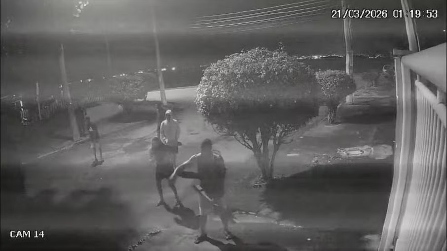 agressores da capivara flagrados pelas câmeras de segurança