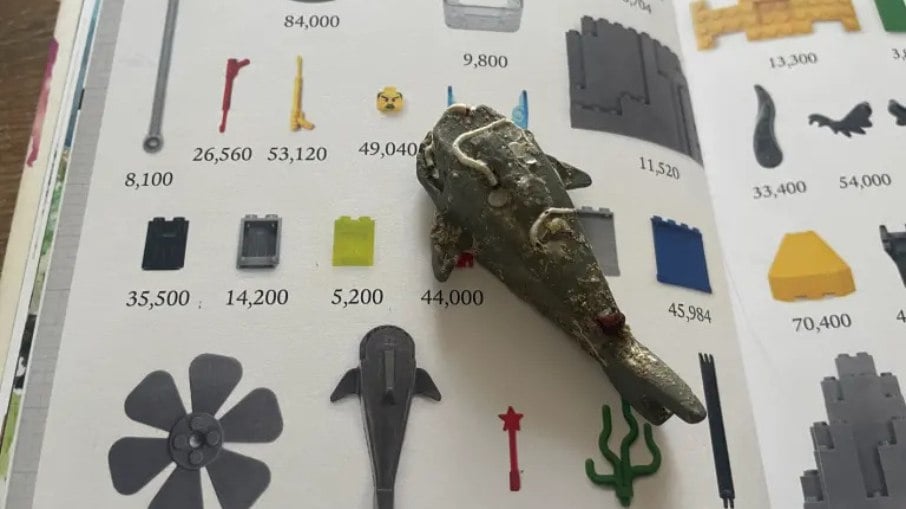 Peça de lego encontrada pelo pescador faz parte de carregamento que naufragou há 27 anos