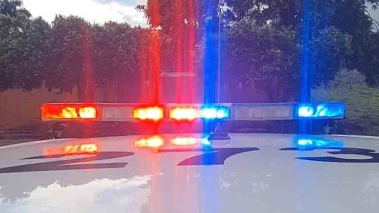 Ladrão furta seis porcos, quatro leitões e 50 galinhas em sítio de Araçatuba
