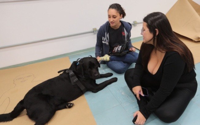 Apolo é o companheiro inseparável da jovem Giordanna Apolo é o companheiro inseparável da jovem Giordanna