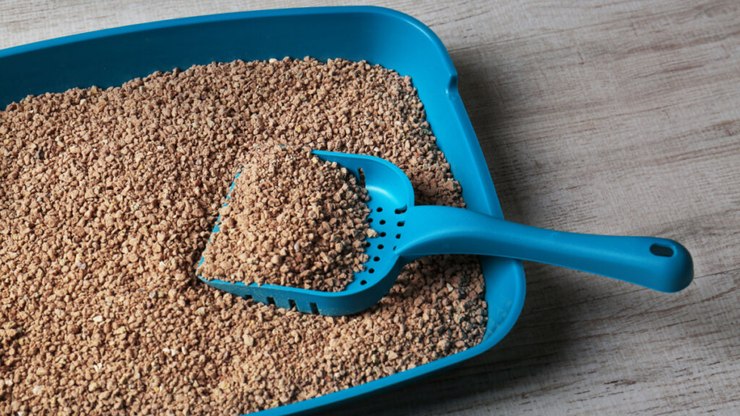 6 itens para o banheiro do cachorro em casa