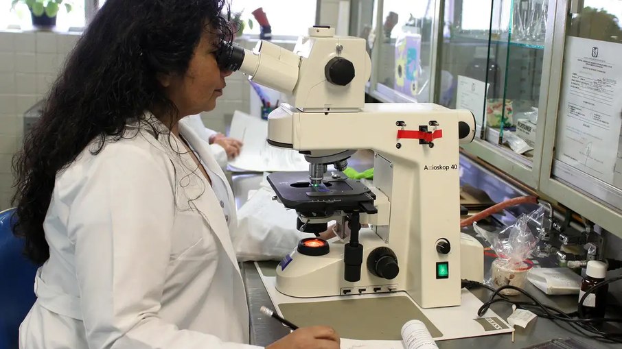 Ciência brasileira: participação feminina cresce 29% em 20 anos, mas cai conforme avanço na carreira 