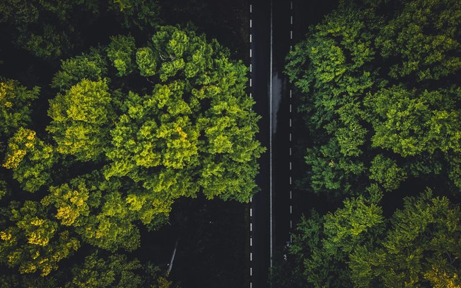 Empresas se adaptam às novas exigências de sustentabilidade
