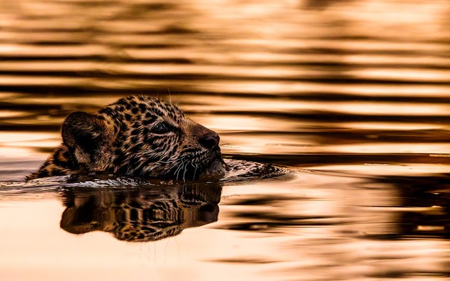 Fotografia fine art destaca conservação ambiental em revista
