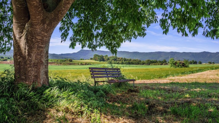 São Paulo cria programa para expandir turismo rural; conheça