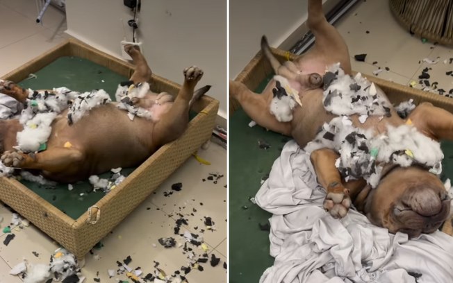 0jxeykglslj5o3xz7bptghxsq