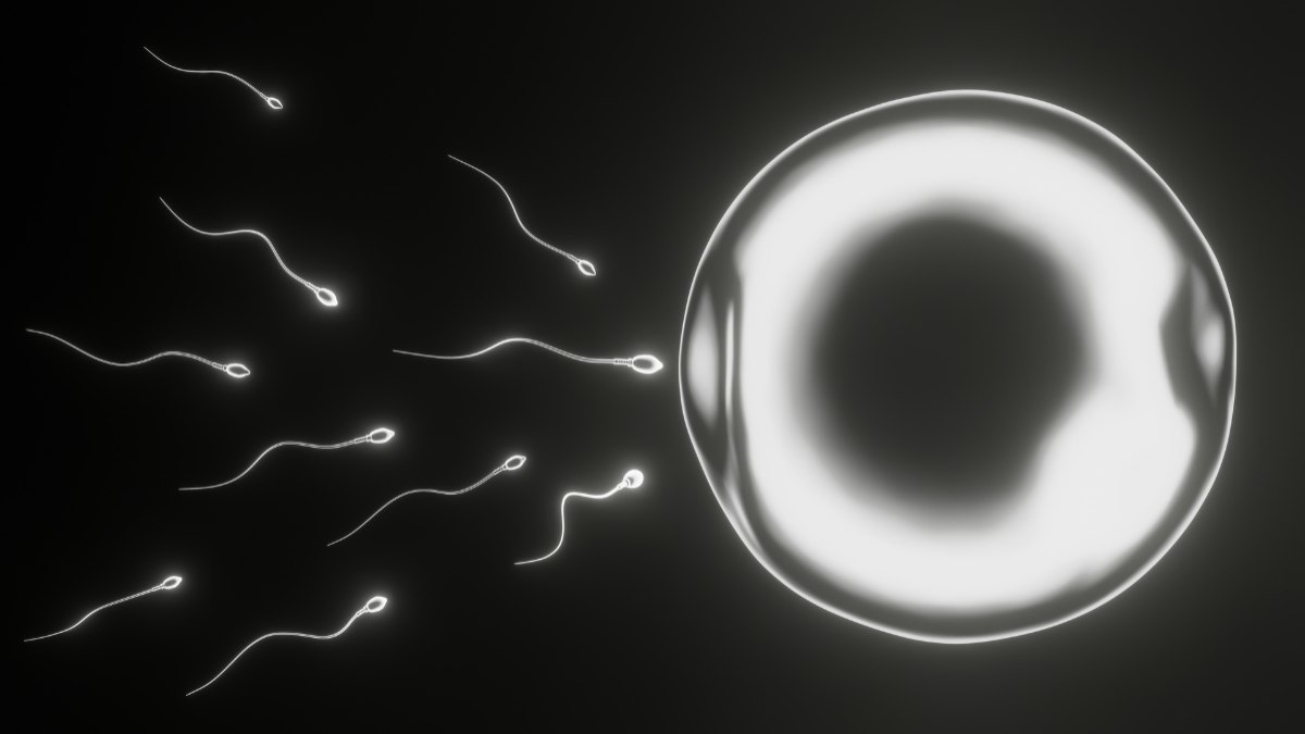 Fertilidade exige planejamento e atenção à saúde do casal
