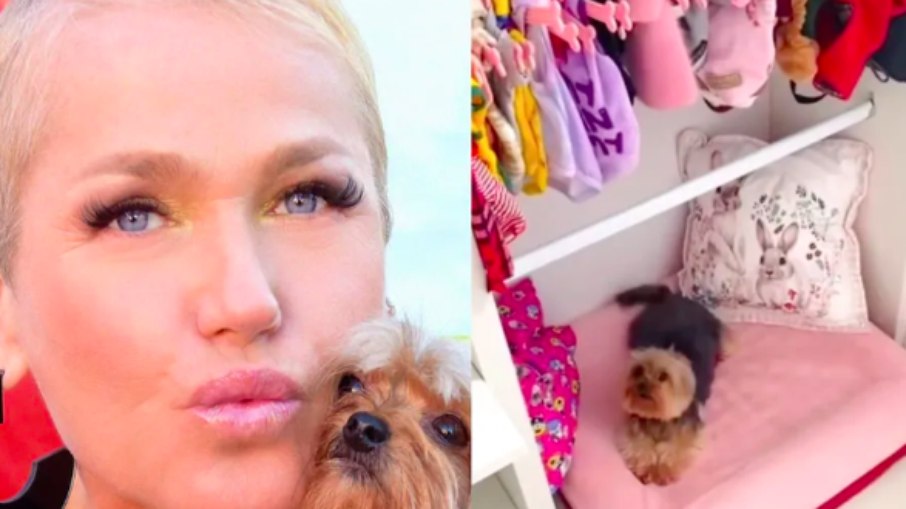 Xuxa revolta fãs ao mostrar quarto de cachorra