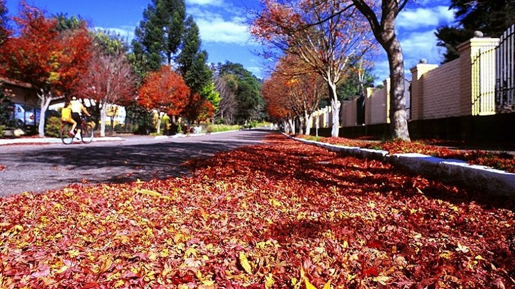 M%C3%AAs%20mais%20frio%20do%20outono%3A%20o%20que%20esperar%20do%20clima%20para%20maio%3F