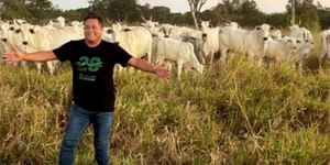 Fazendas dos famosos: veja a lista das propriedades mais luxuosas