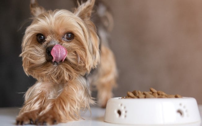 Quais são as melhores rações premium para cachorro?