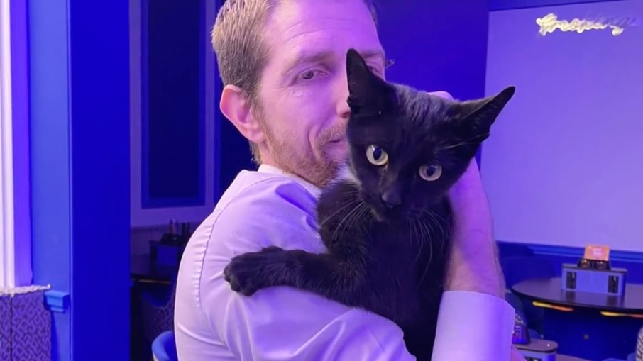 Simon Philips conseguiu resgatar a gata após duas semanas