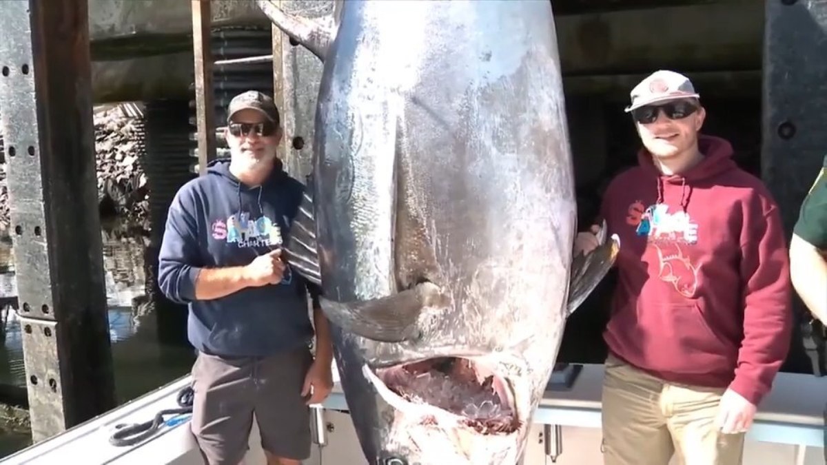 Pescador quebra recorde ao capturar atum de 506
quilos