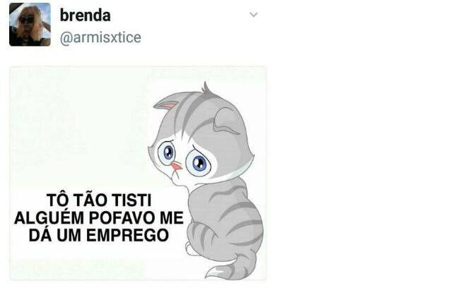 Vão também não negaria para este bichano, não é?