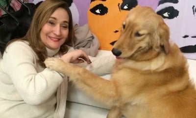 Sonia Abrão lamenta morte de cachorra de estimação