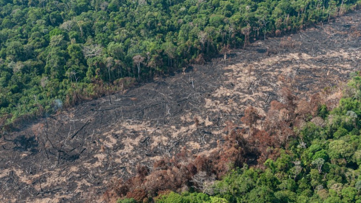 Entenda por que o planeta está perto de ultrapassar 1,5ºC
