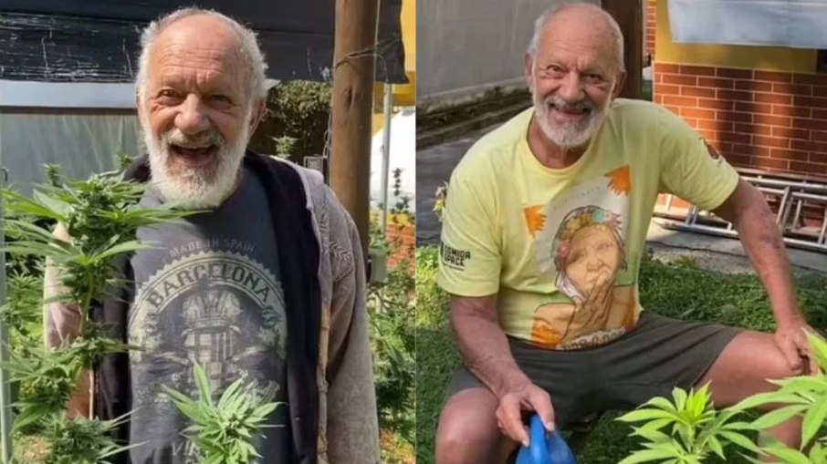 Ricardo Petraglia explica plantação de maconha autorizada na Justiça