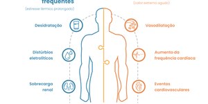 Como o calor extremo desafia jogadores na Copa do Mundo