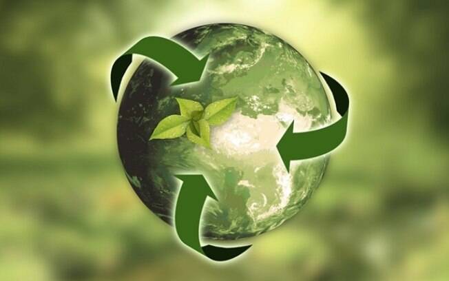 Empresas de produtos sustentáveis devem ter como premissa o cuidado com o meio ambiente